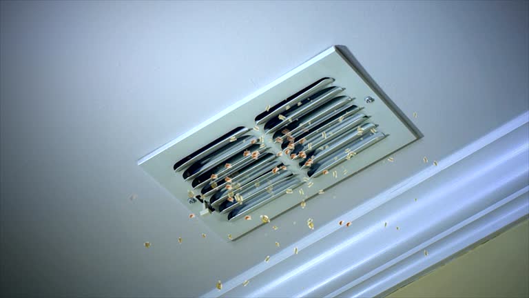 Best Residential Air Duct Cleaning  in St Rose, LA