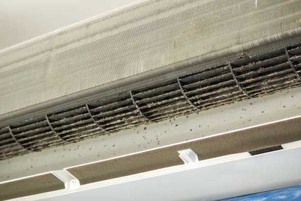 Best HVAC System Cleaning  in St Rose, LA